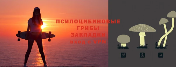 PSILOCYBIN Алексеевка